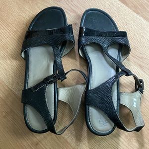 Black Ecco Sandals
